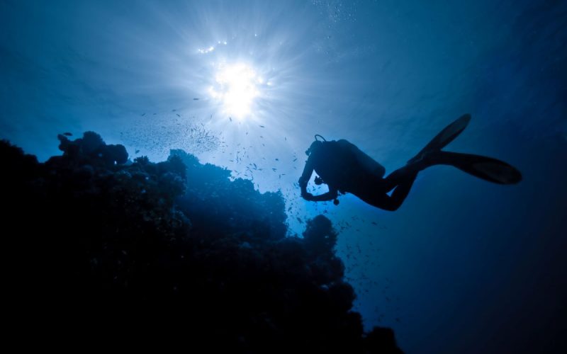 Un plongeur sous-marin